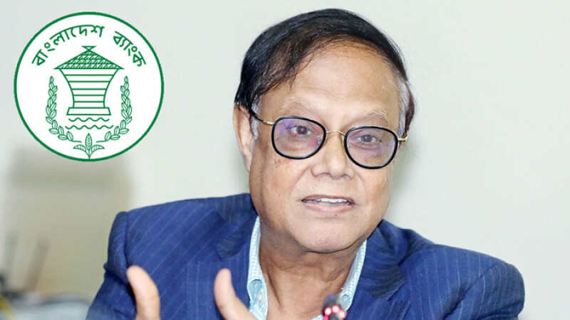 ব্যাংক খাত থেকে ১৭ বিলিয়ন ডলার পাচার করেছে হাসিনার দোসররা