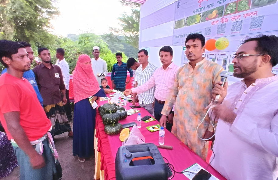 মিষ্টি কুমড়া চাষে তরুণ কৃষক মামুনের সাফল্য