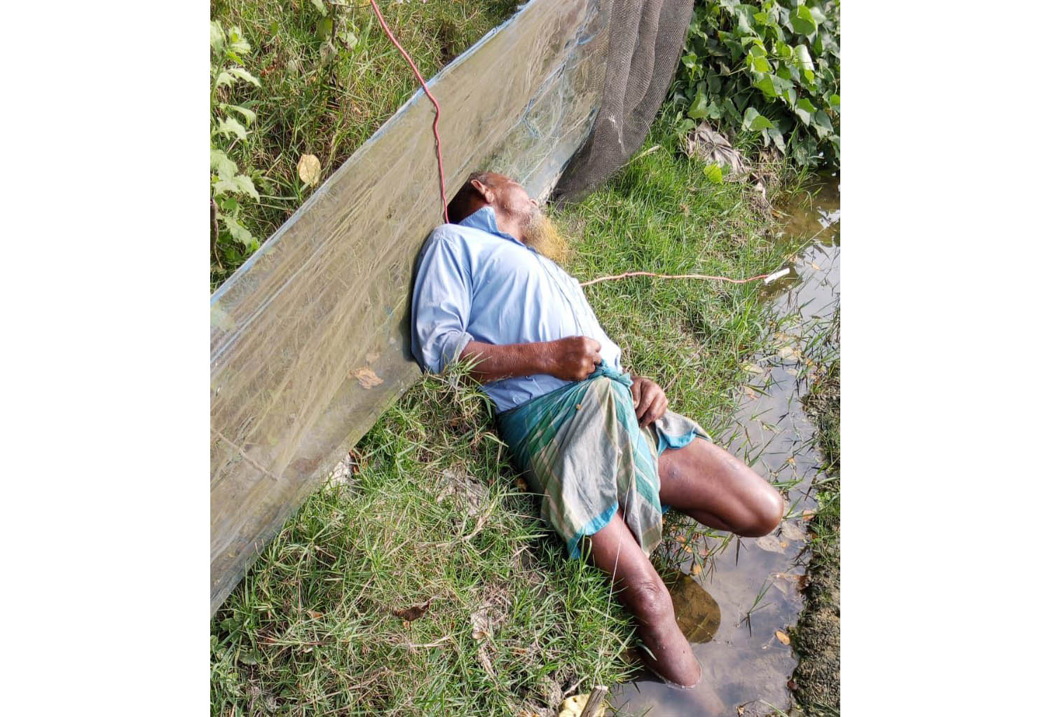 ইঁদুর মারার বৈদ্যুতিক ফাঁদে প্রাণ হারালেন কৃষক